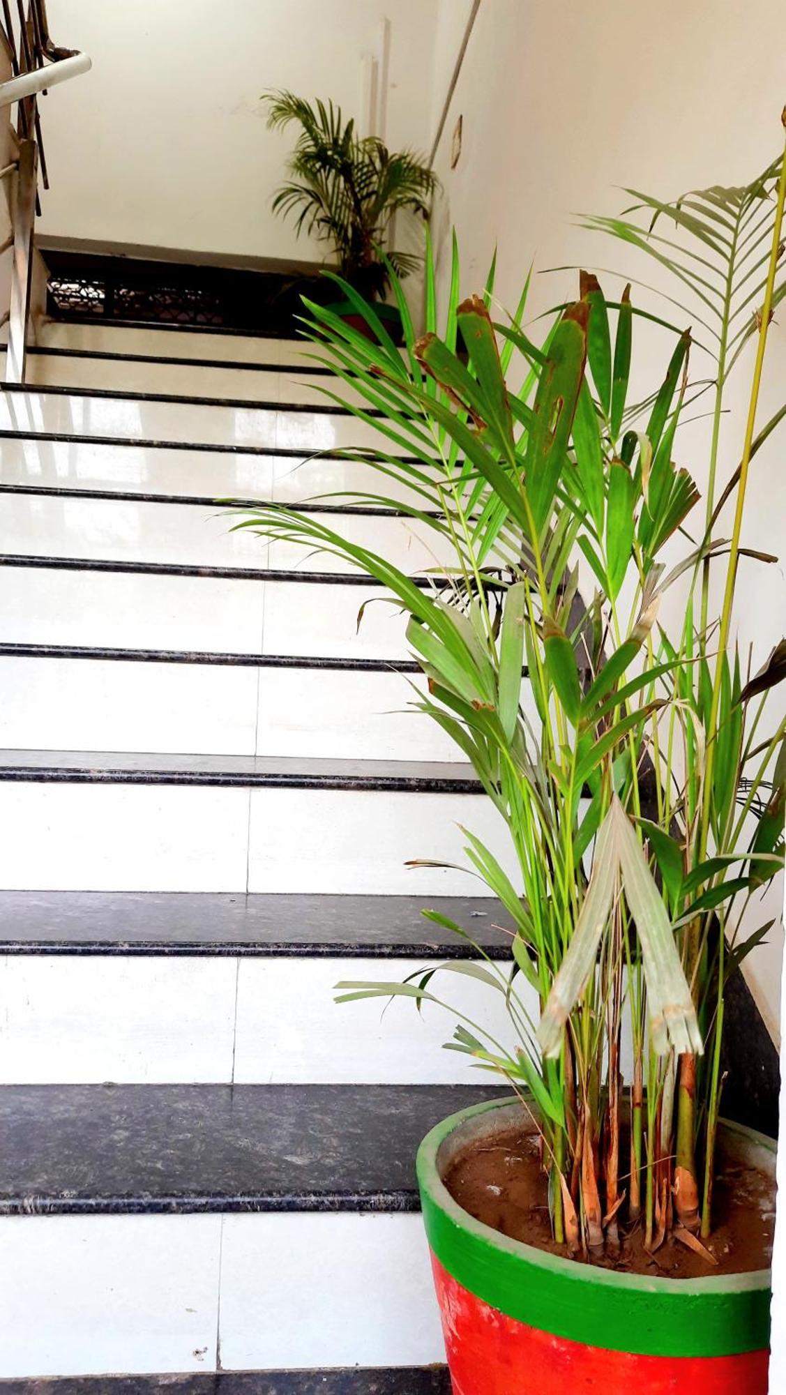 Hotel Season Ahmedabad Exterior photo